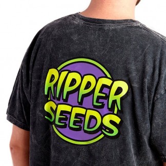 RIPPER SEEDS WASHED COLOR T-SHIRT